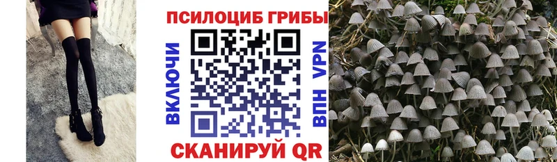 Галлюциногенные грибы Magic Shrooms  Медынь 